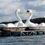 2309K 078 Kemnader See